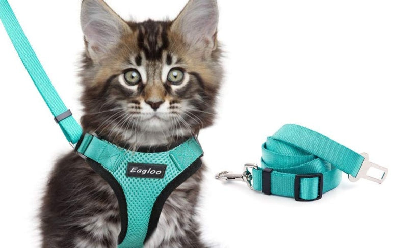 Cat harness backpack & Car Seatbelt – Adjustable Reflective Mesh Vest